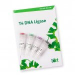 Ligaza DNA T4 (EN11)