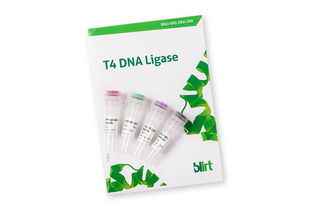 Ligaza DNA T4 (EN11) | CytoGen Sp. z o.o.