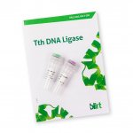 Ligaza DNA Tth (EN13)