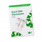 Glikozylaza uracylowa DNA (UDG) (EN19)